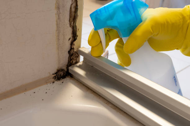 Best Health and Safety Mold Remediation in Riverdale, GA