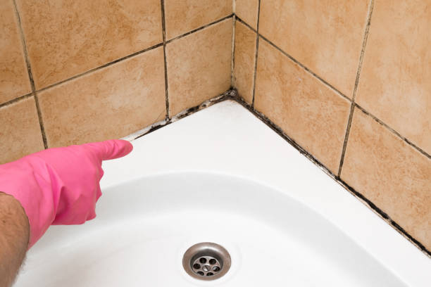 Best DIY Mold Remediation Support Services in Riverdale, GA